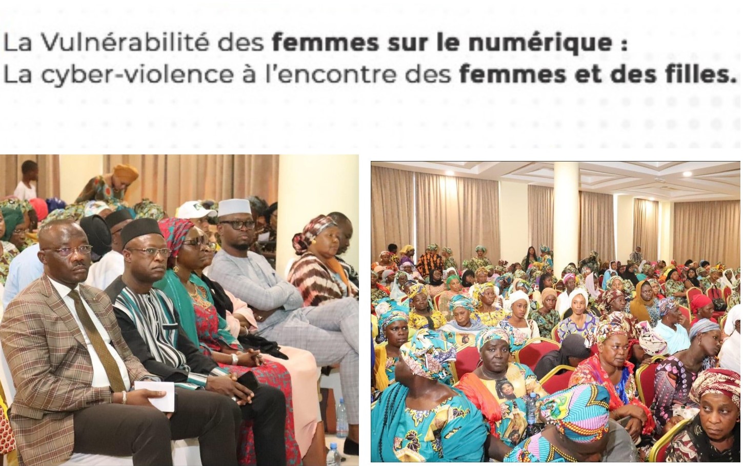 APDP MALI